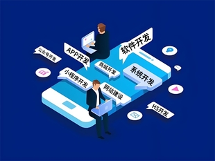 南昌懂技术的做软件公司,做网站小程序APP开发