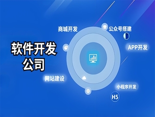 南昌稳居前列的网站小程序APP软件开发公司