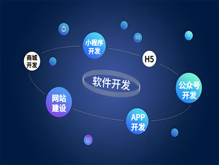 个性化功能软件开发,南昌做网站小程序APP