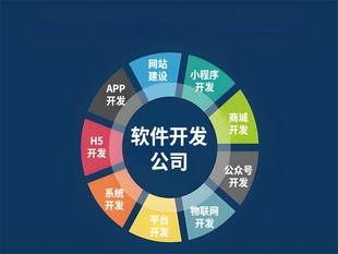 南昌能针对行业开发网站小程序APP软件的公司