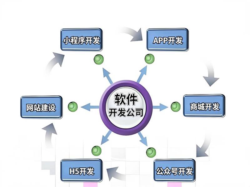 2026-02-03南昌熟悉各行业特点的网站小程序APP软件开发公司