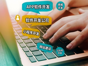 南昌能解决做网站小程序APP软件开发痛点的公司