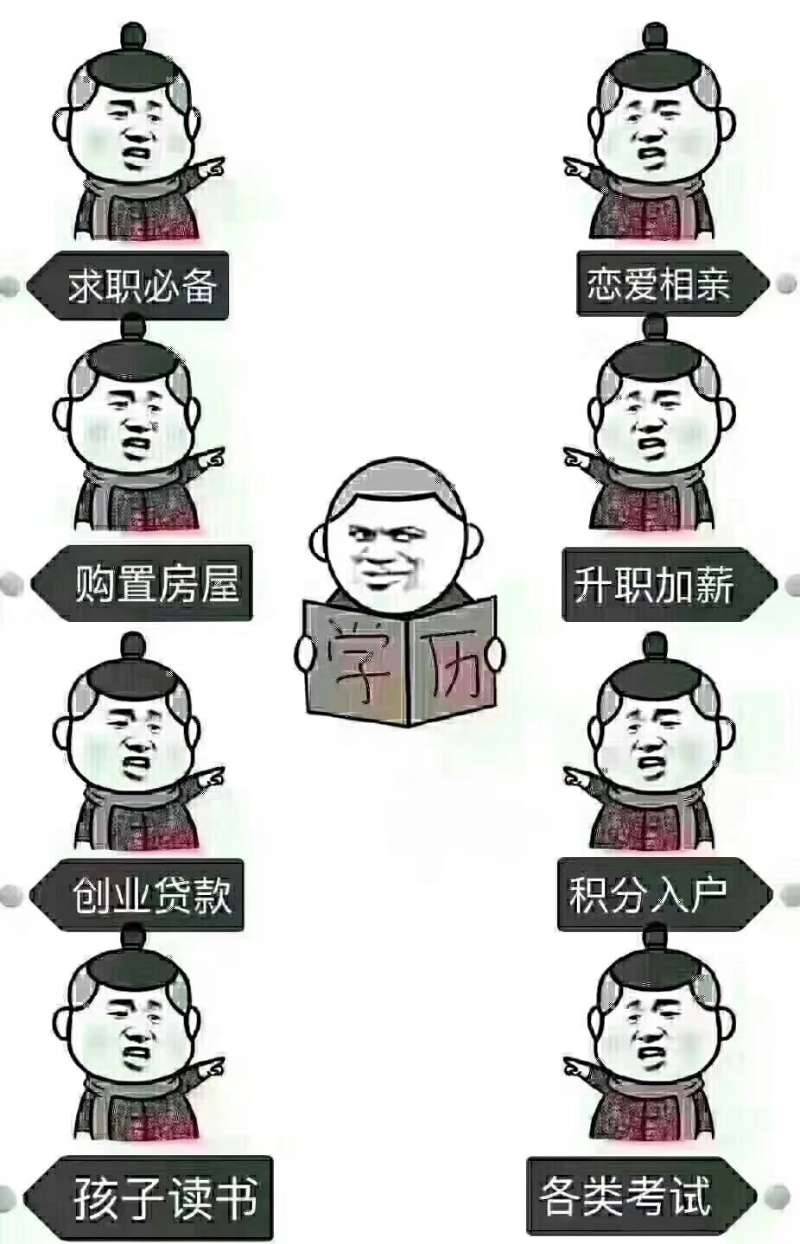 2026-02-06河北大学经济学自考本科报名好考轻松拿学位VIP保障