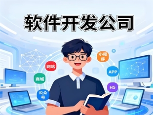 南昌能精准落地网站小程序APP软件开发项目的公司
