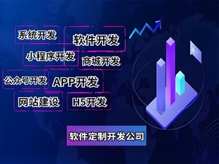 江西专注个性化定制开发网站小程序APP软件