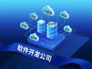 江西专注个性化定制开发网站小程序APP软件