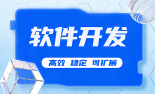 南昌做定制软件开发网站建设小程序app开发的公司
