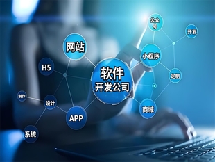 南昌根据功能需求做网站小程序APP软件开发