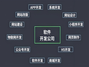 2026年南昌的网站小程序APP软件开发公司