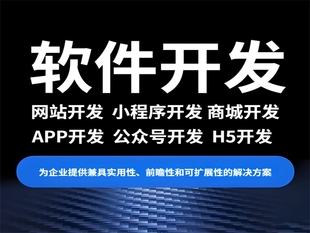 江西精通做网站小程序APP软件开发技术的公司