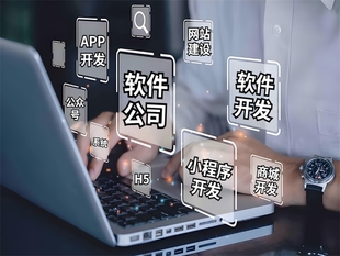 南昌创新型软件开发公司,做网站小程序APP