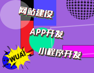 南昌有经验有技术做网站小程序APP的公司