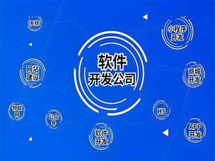 江西有完整开发团队的做网站小程序APP软件公司