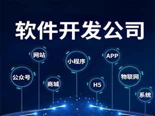 江西有完整开发团队的做网站小程序APP软件公司