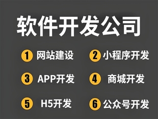 南昌能专属开发行业网站小程序APP软件的公司