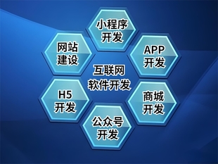 江西能一体化开发网站小程序APP软件的公司