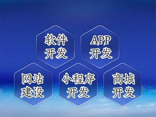 南昌技术过硬的公司,做网站小程序APP软件开发
