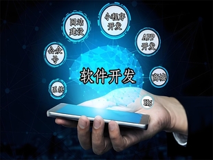 南昌小程序软件开发免费咨询免费出方案报价