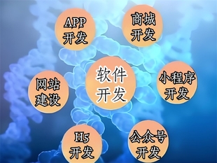 南昌做网站小程序APP软件开发,支持定制修改