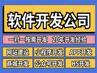 南昌做网站小程序APP软件一对一需求开发