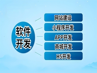 南昌做网站小程序APP软件一对一需求开发